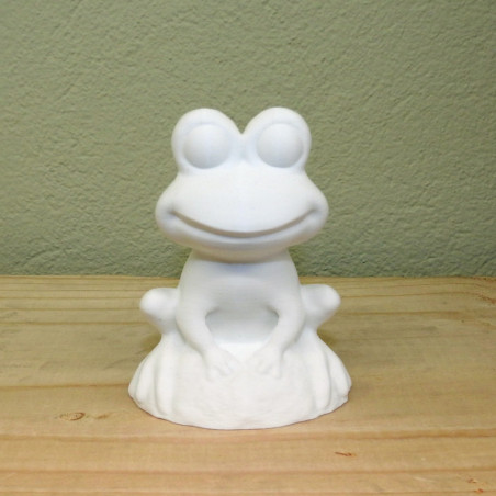 Fröhlicher Frosch auf Stein