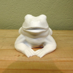 Liegender Frosch