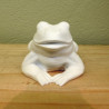 Liegender Frosch