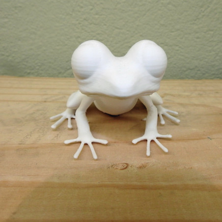Großäugiger Frosch