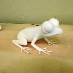 Großäugiger Frosch