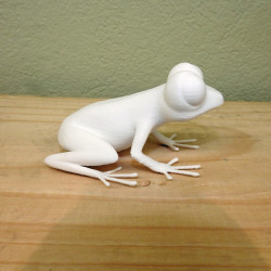 Großäugiger Frosch