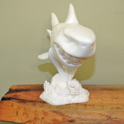 Fisch II - Der mystische Hai